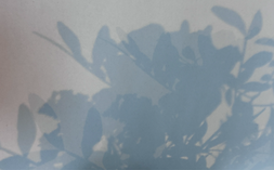 IMG_1712_edited.png