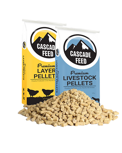An HonEst 50 From CasCade Feed_edited.png
