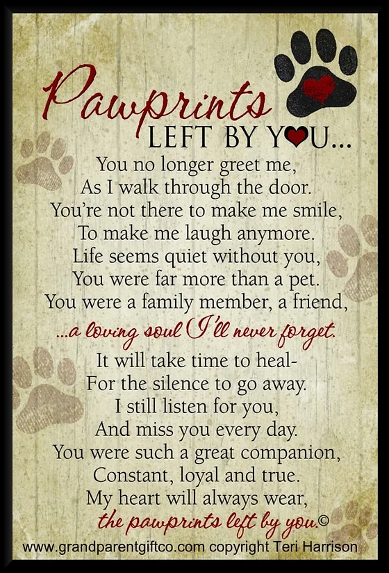 Grieving Hearts With Love From Lily