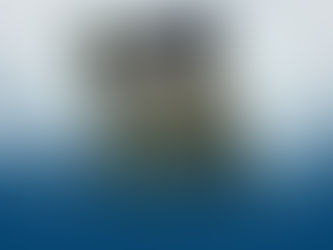 Otorite Meksikèn yo sezi anviwon 572 kilo Marigwana ki t ap pran direksyon Repiblik Dominikèn.