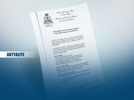 Dezyèm kowòt PAEF la lanse pou sipòte fanm antreprenè nan plizyè sektè.