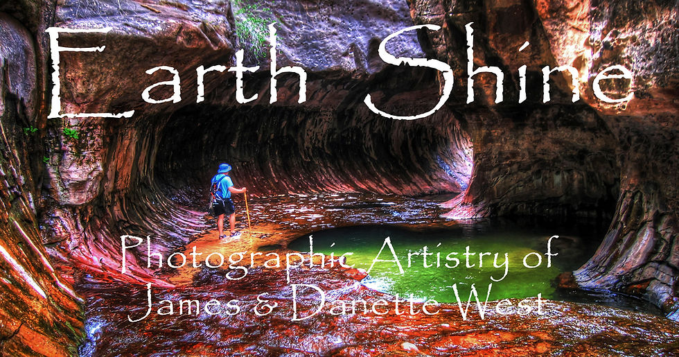 EarthShineLogoNew4x6_edited.jpg