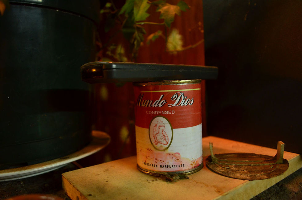 Cocina Mundo dios