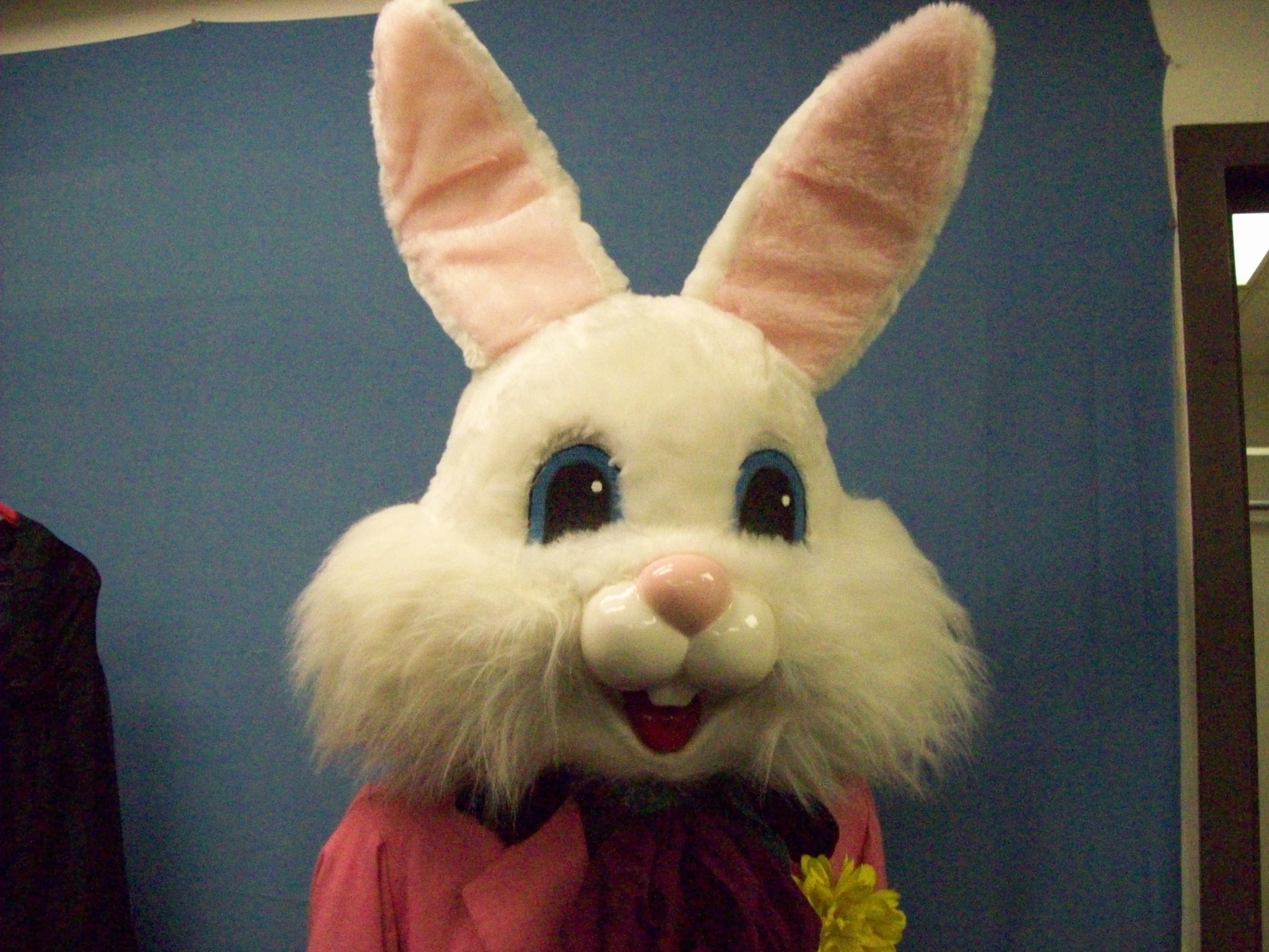 SANTAS & HOLIDAYS Costumes By Dusty