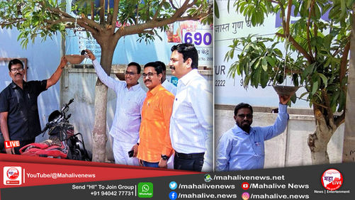 जागतिक चिमणी दिवस; जाणून घ्या पहिला चिमणी दिवस कधी होता...