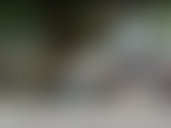 लोहाऱ्यात मोकाट फिरणाऱ्याची अन्टीजेन तपासणी करुन दंडात्मक कारवाई...