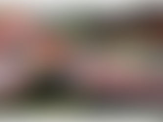 मोफत वाटपासाठी रेशनचे धान्य घेऊन जाणारा ट्रक अकोले तालुक्यात पलटी...