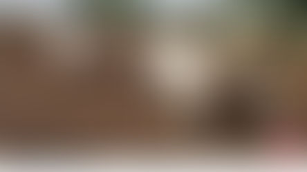 शेतकऱ्यांनी ८० ते १०० मिलिमीटर पाऊस झाल्याशिवाय पेरणी करू नये कृषी विभागाचे आवाहन...