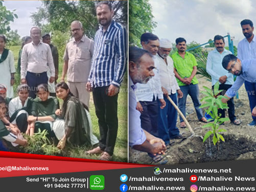 लातूर जिल्हा परिषदेमार्फत महावृक्ष लागवड; 2 लाख वृक्षची लागवड...