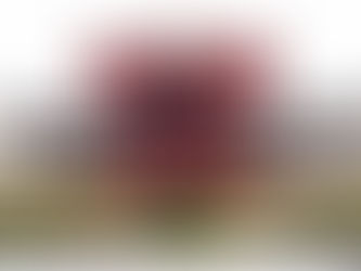 प्रदूषण नियंत्रण मंडळावर गेल्या 14 वर्षांपासून सदस्यांची नियुक्तीच नाही; उच्च न्यायालयाने फटकारले...