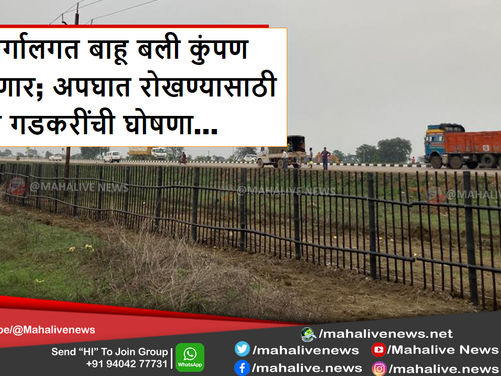 महामार्गालगत बाहू बली कुंपण उभारणार; अपघात रोखण्यासाठी नितीन गडकरींची घोषणा...