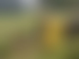 30 मुलांना घेऊन जाणारी स्कूलबस उलटली