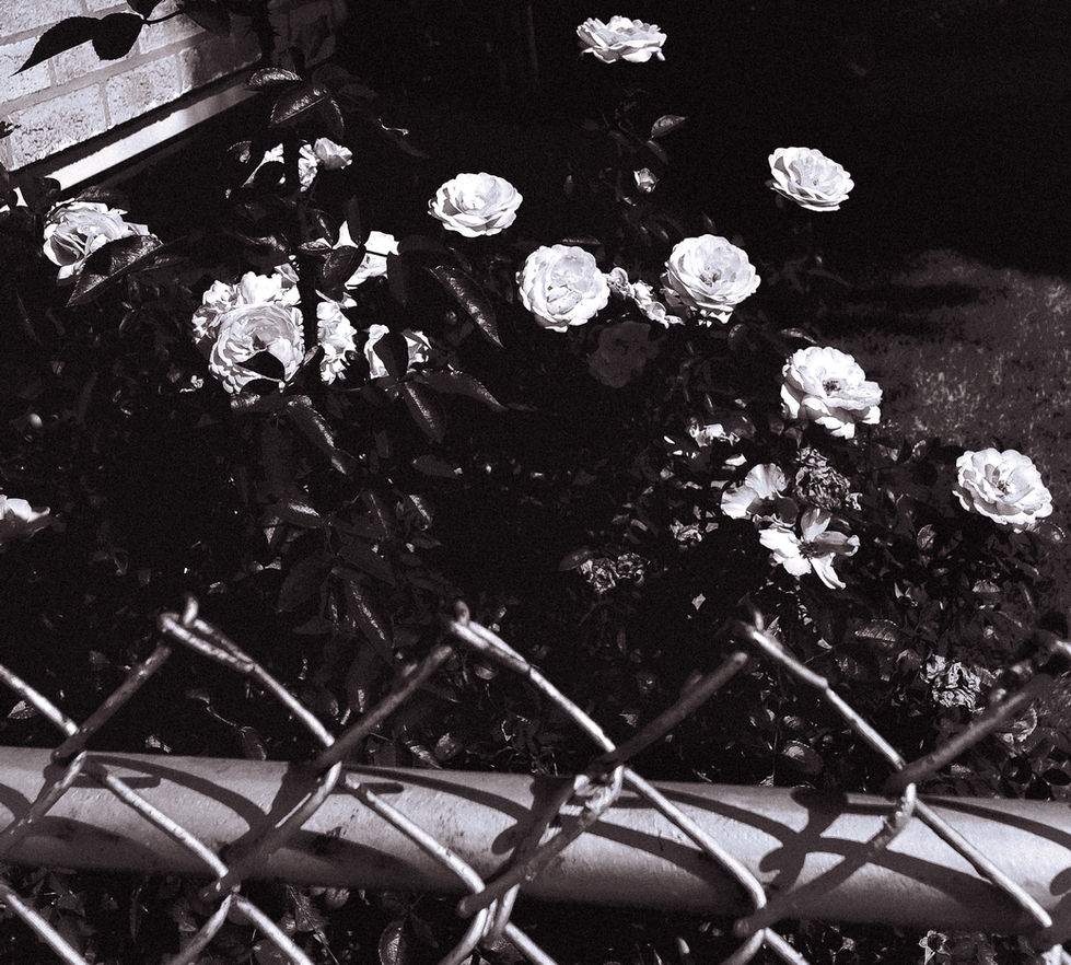 20250922-bw crain-121-2