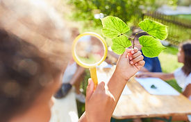 Magnifying glass