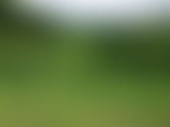 信州ワイナリーツアー報告 (YouTube)