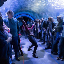 55503440_10157545762238287_9019292297803