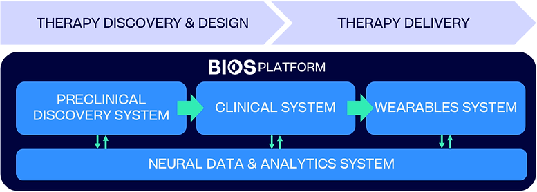 Flow chart explaining how the BIOS platform works