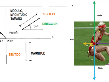 Evaluación de la fuerza: Biomecánica y tecnología