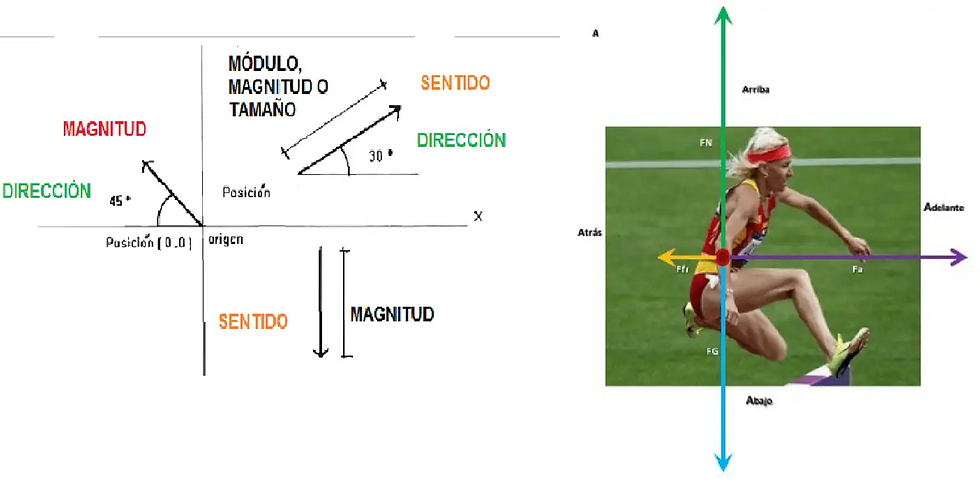 Evaluación de la fuerza: Biomecánica y tecnología