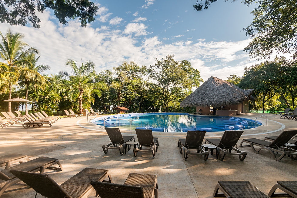 occidental papagayo piscina