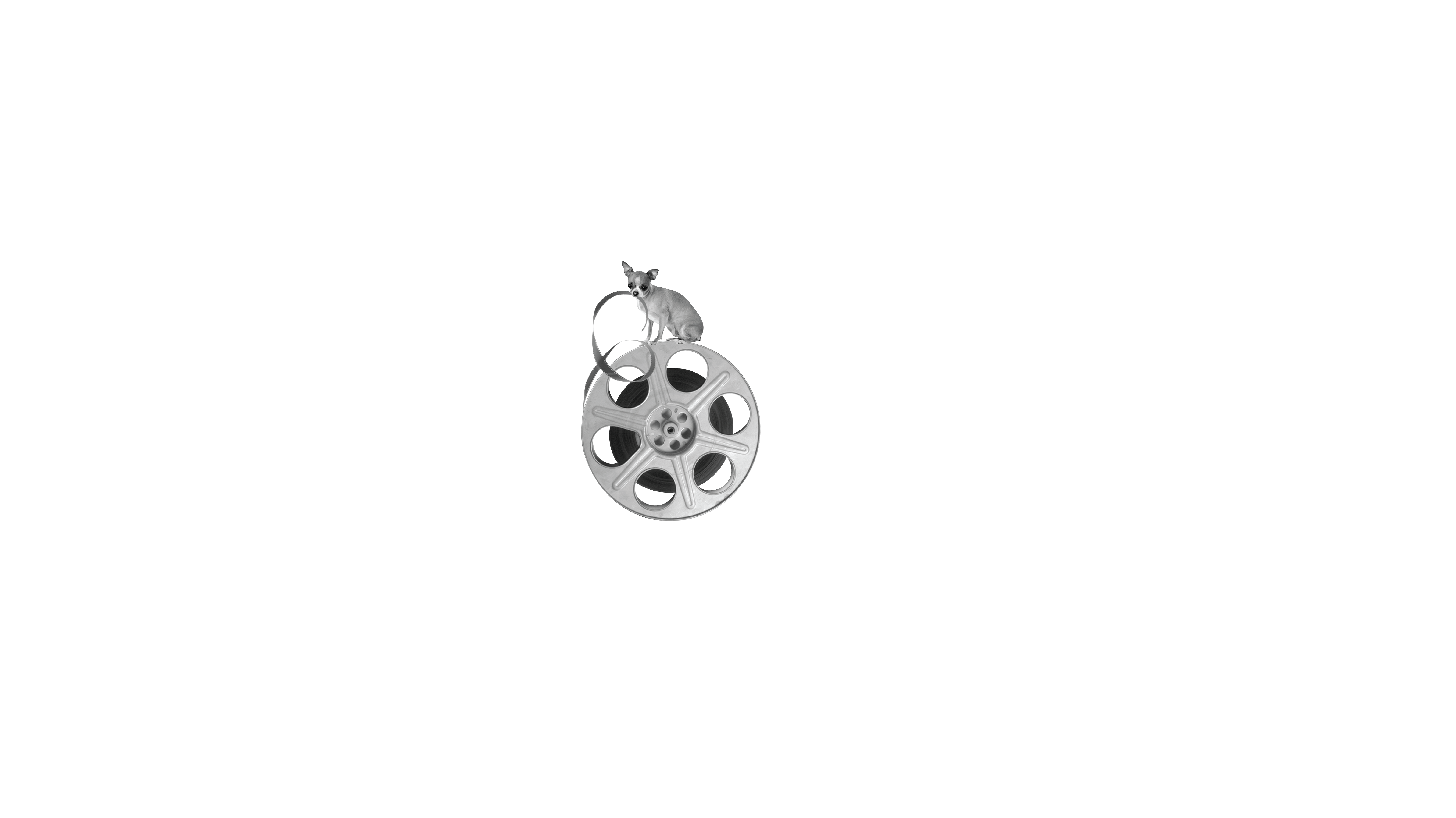 LA Shorts International Film Festival 2018