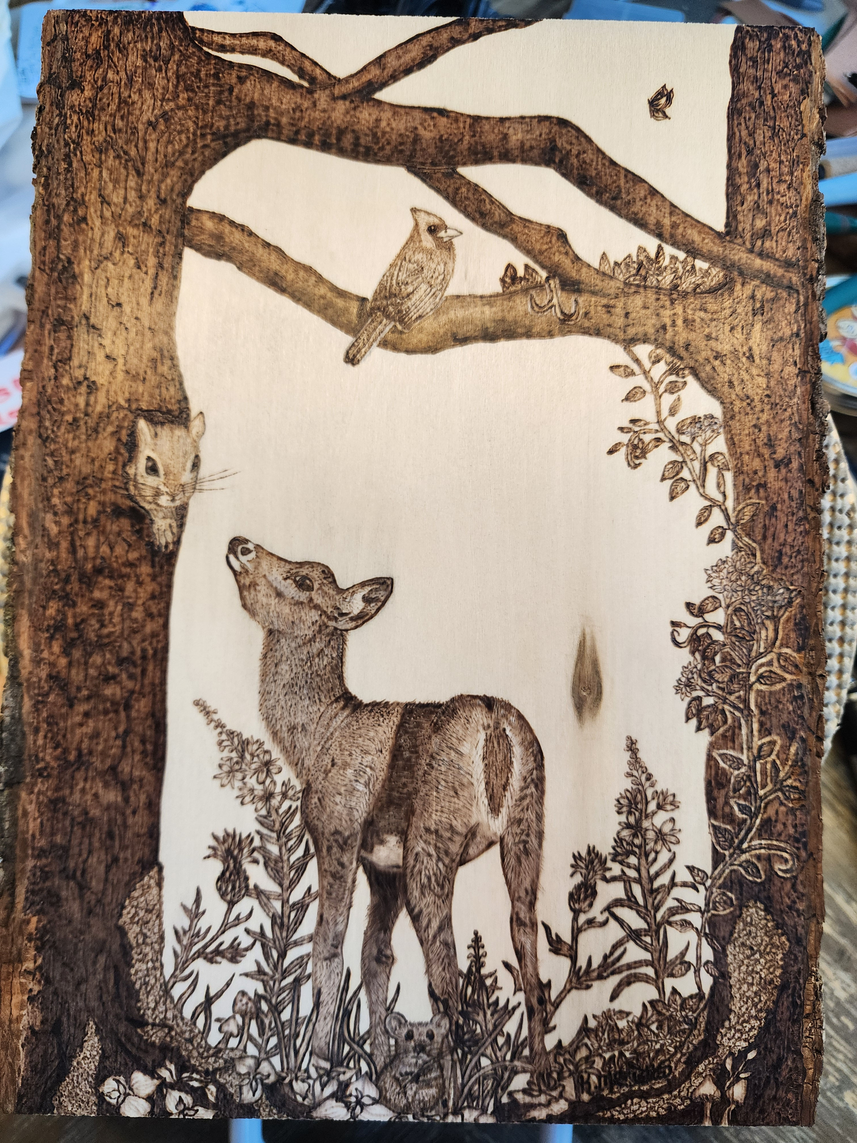 Woodland Watchers: Chapter 2