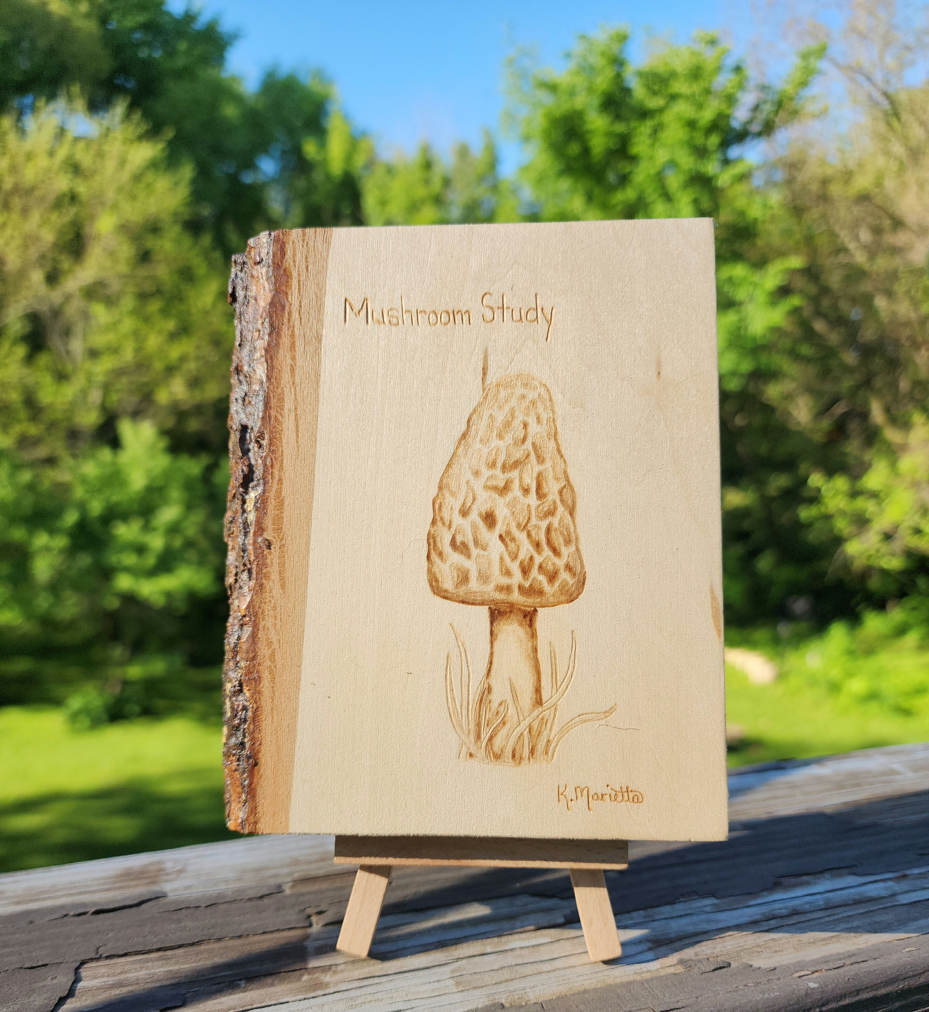 Mushroom Study Plate 002