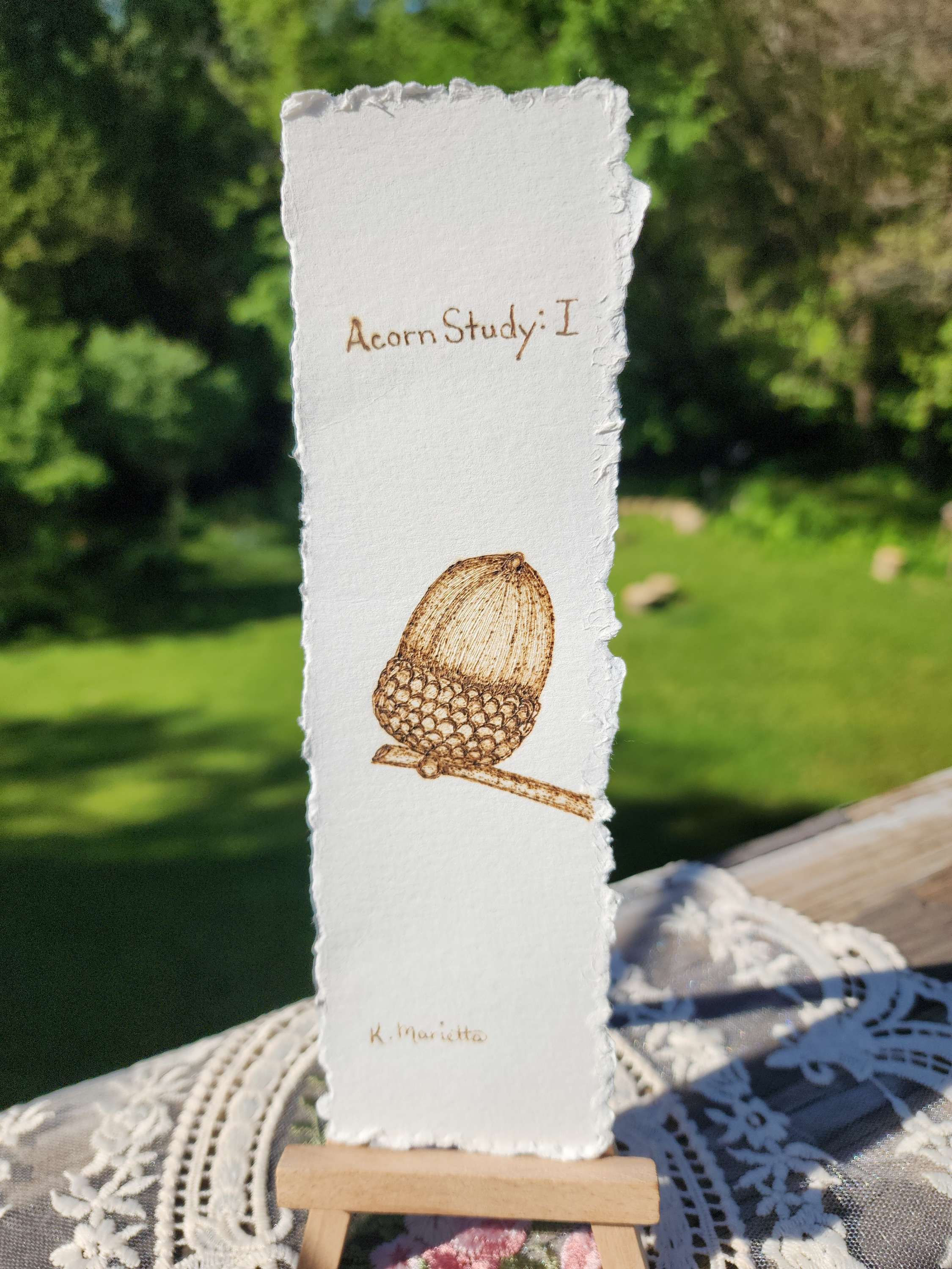 Forest Study Plates: Acorn Study I Plate No. 002
