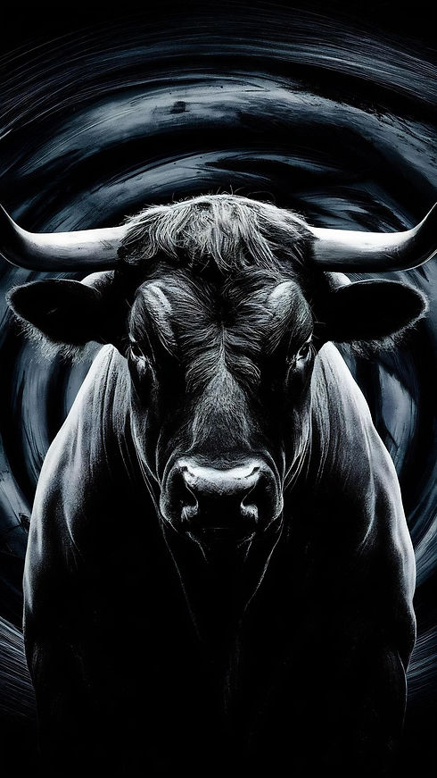bull.jpg
