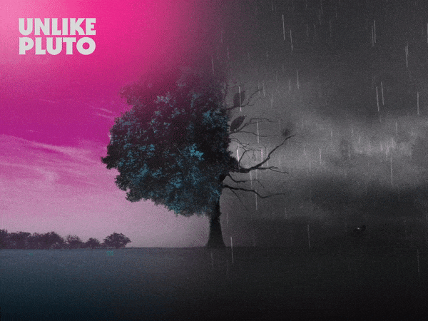 ezgif.com-gif-maker-22.gif
