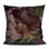 Miniature : Housse de coussin Black Beauty