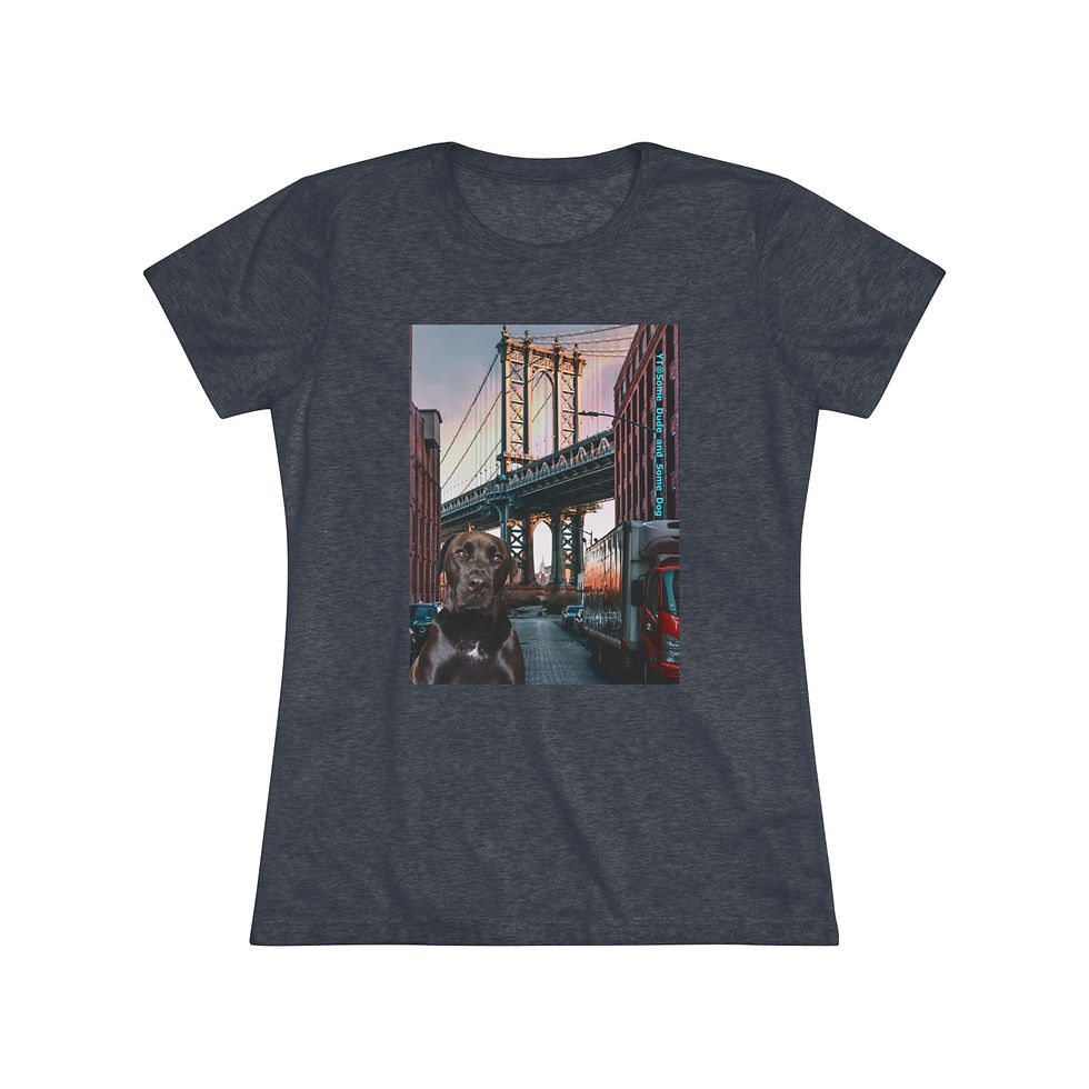 Thumbnail: Women's Triblend Tee - Cost Conscious - Some Dog Doin Manhattan 