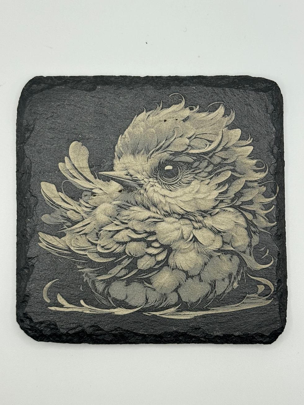 Thumbnail: Baby Bird Slate Coasters