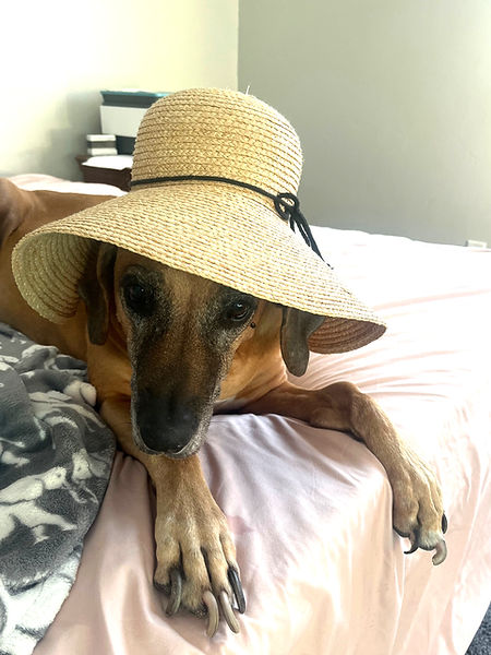 Dolly Floopy Hat_edited.jpg