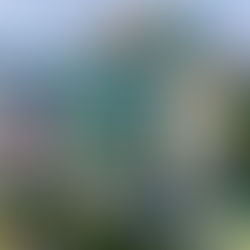 Đức Long Gia Lai: Lợi nhuận năm 2025 tăng gấp 2,5 lần kế hoạch