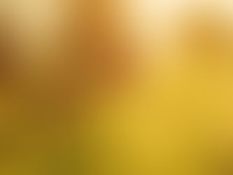 Yoga and Nature - A Natural Connection