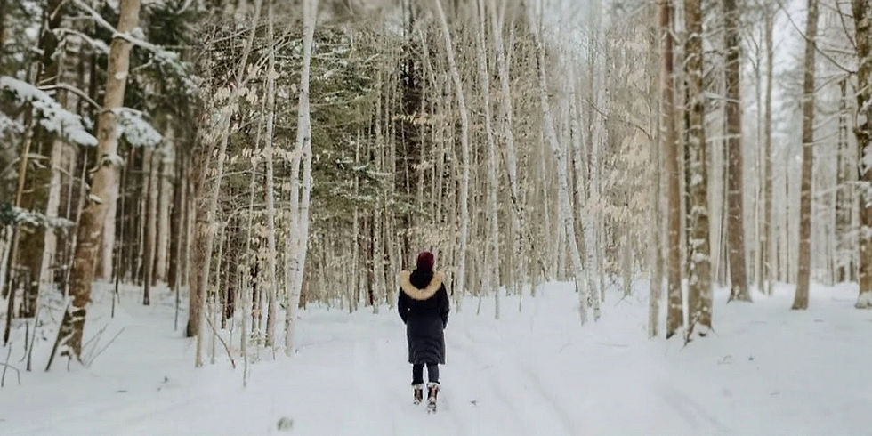 A Daily Intention for the New Year