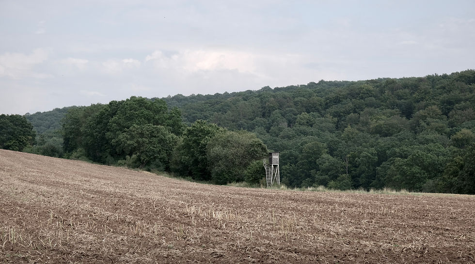 Control Room / Hochsitz (Achim Hennecke)