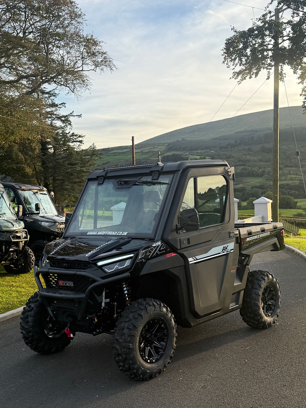 Thumbnail: New Aodes 650 Workcross Black edition 