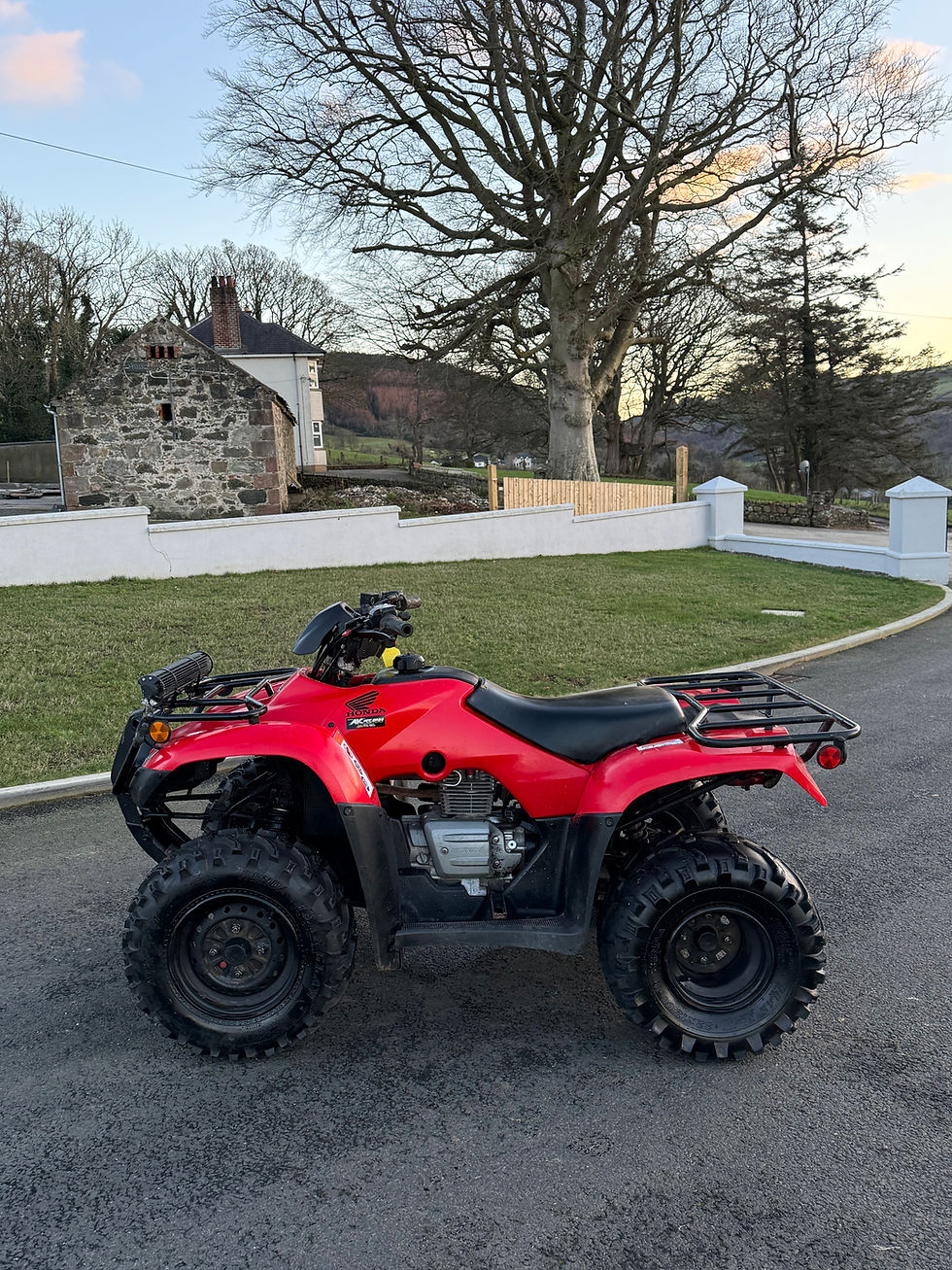 Thumbnail: 2019 Honda trx 250ES