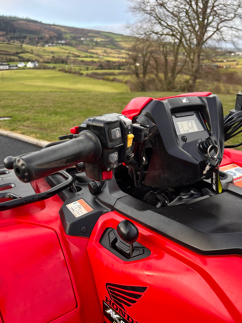 Thumbnail: 2019 Honda TRX 520 FA6 