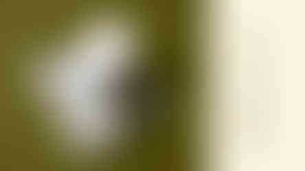 Charis Listening Bar menu design