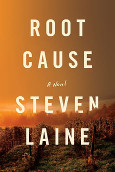 Root Cause Novel Cover FINAL.jpeg