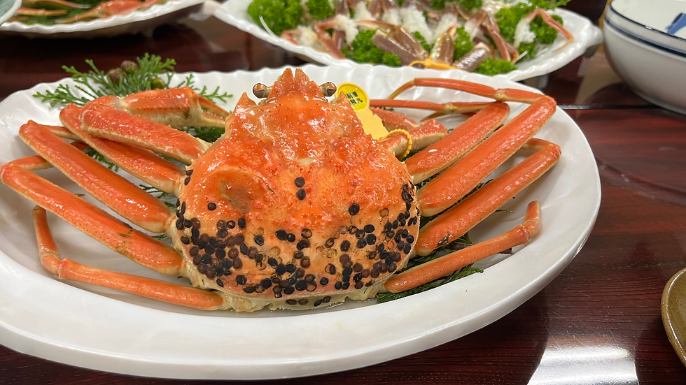 The "King of Winter Taste." Devouring the Emperor's Crab & Dinosaurs in Fukui.