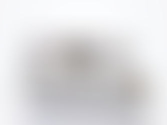 PTWS D620 a "Dual drive" 12 vessel tablet dissolution bath with independent stirring speed