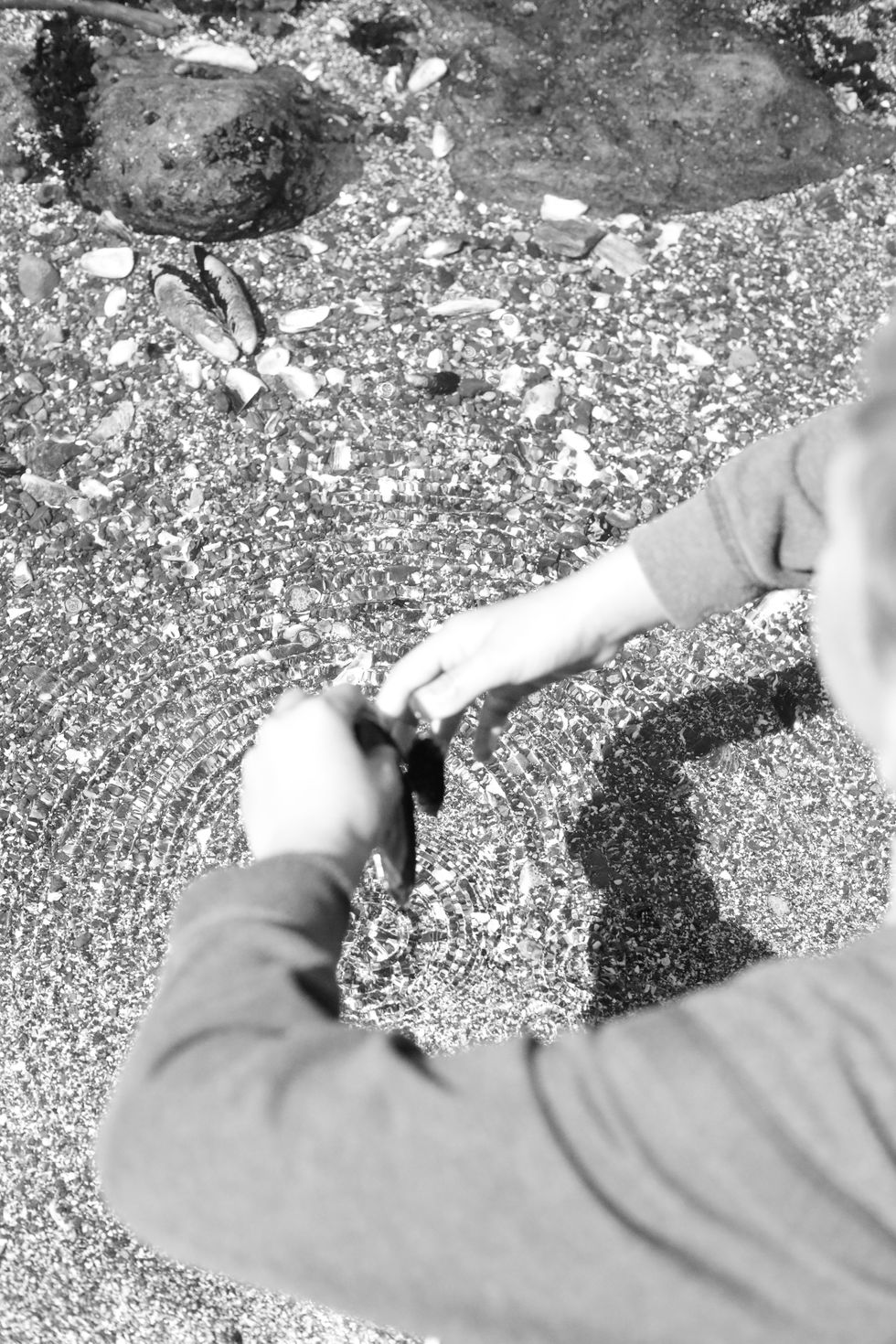 Beach Treasure 2