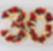 299620277_553907929854180_6658638239603753608_n.jpg