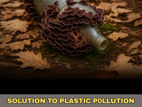 Nature to the Rescue: Meet the Amazon Fungus That Eats Plastic!