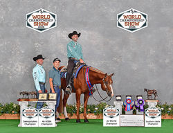 2026 APHA World Show