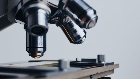 Sistemas alimentares: desafios da cobertura na imprensa de um campo transdisciplinar